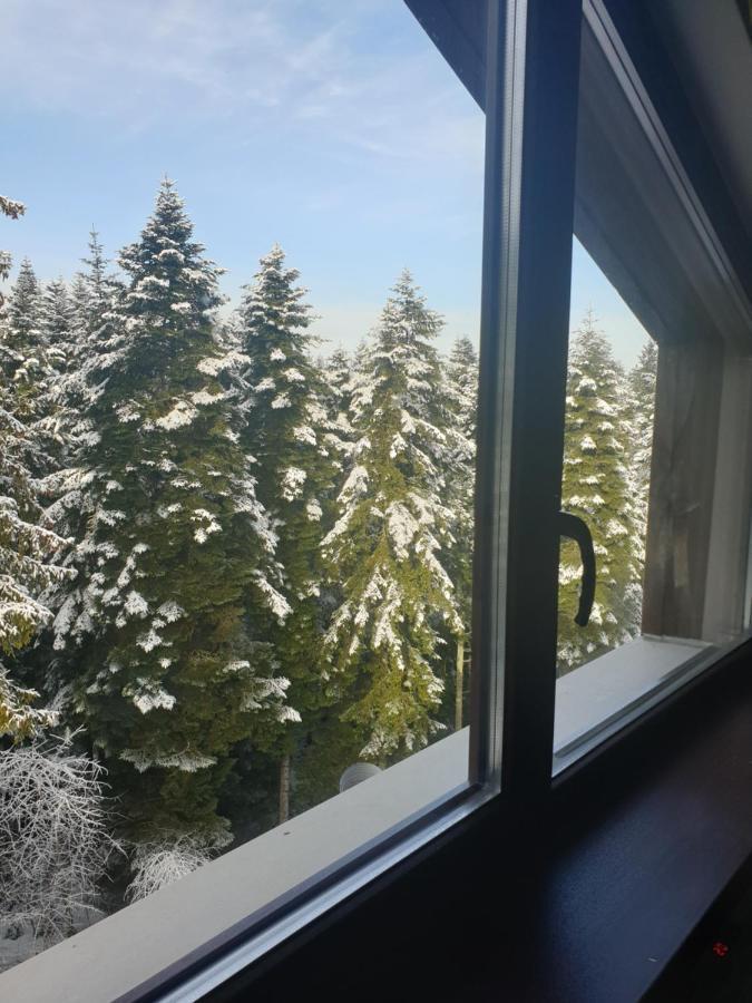 Borovets Forest View Экстерьер фото