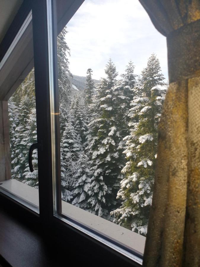 Borovets Forest View Экстерьер фото